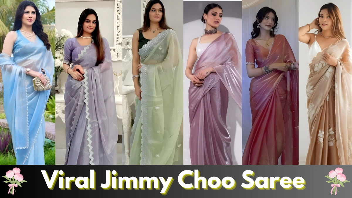 Viral Jimmy Choo Saree Look Explained